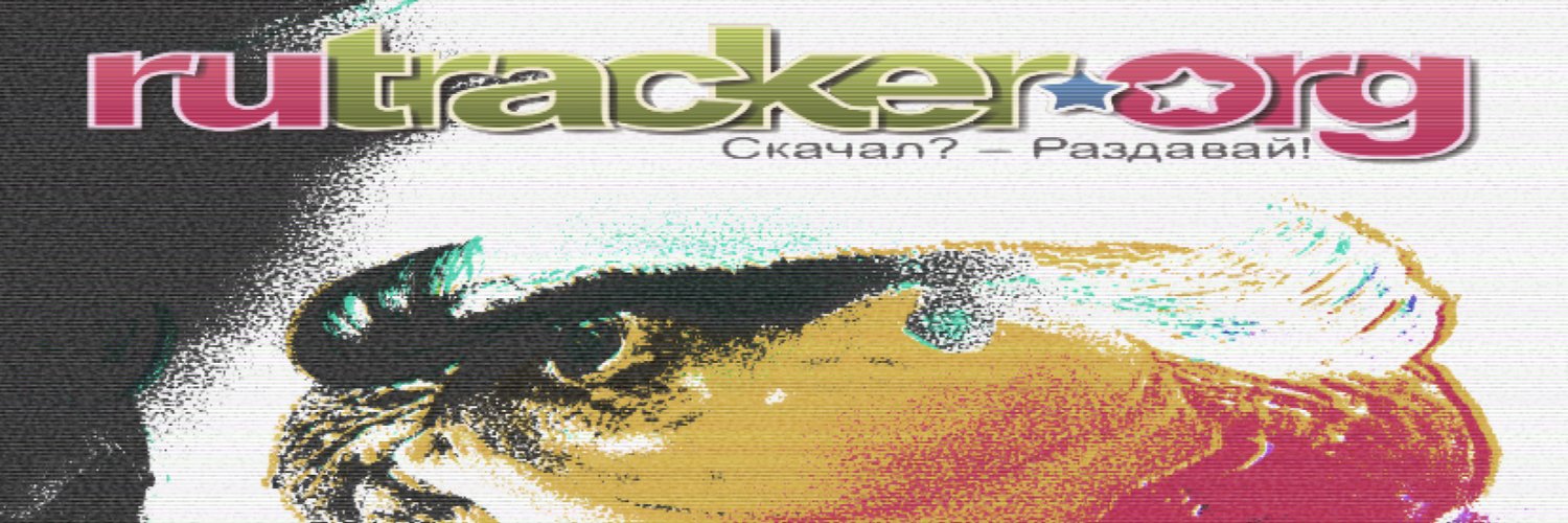 katzen banner