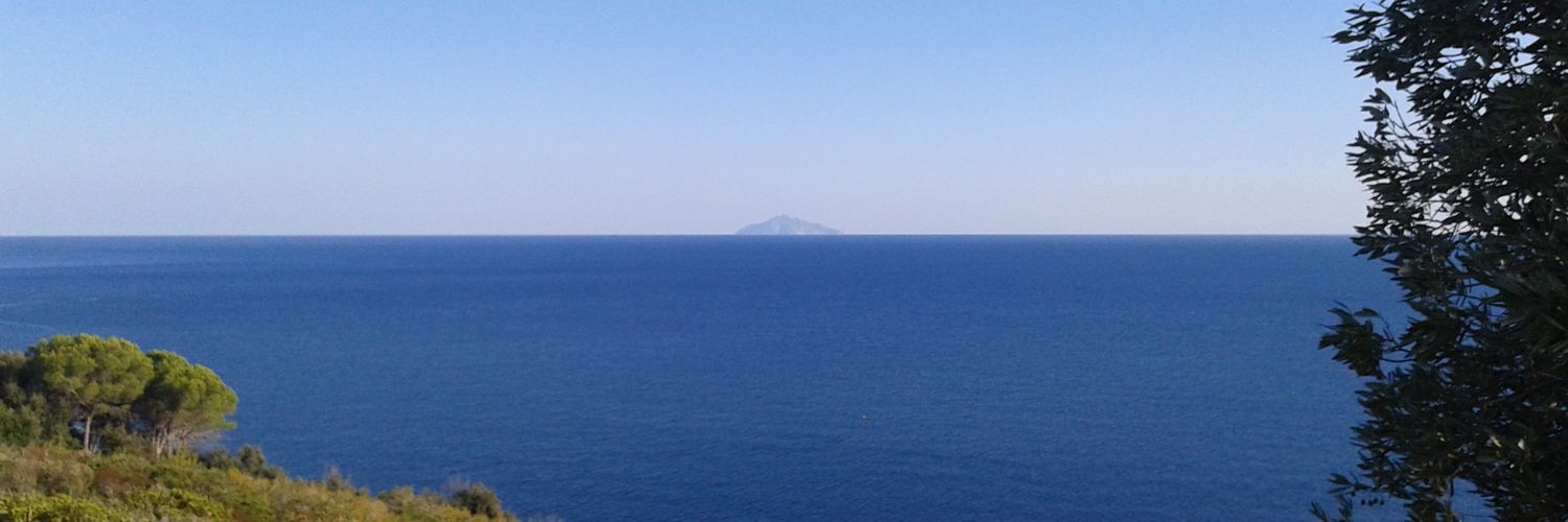 ZanoC74's profile banner image