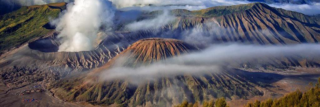 Go Probolinggo banner