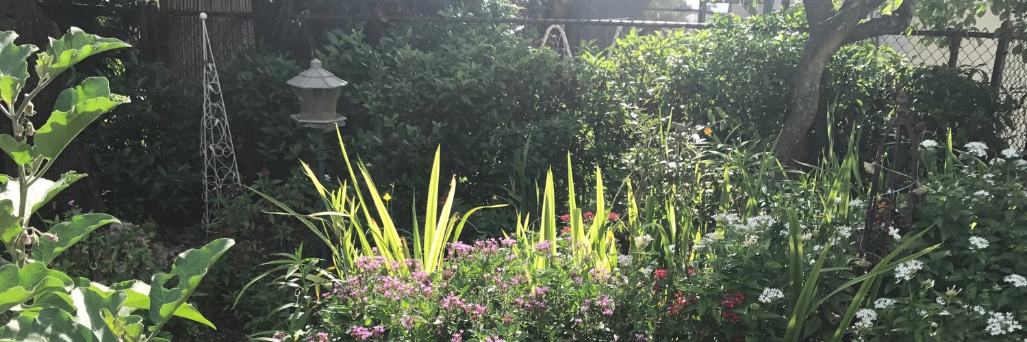 gardenerdcodes's profile banner image