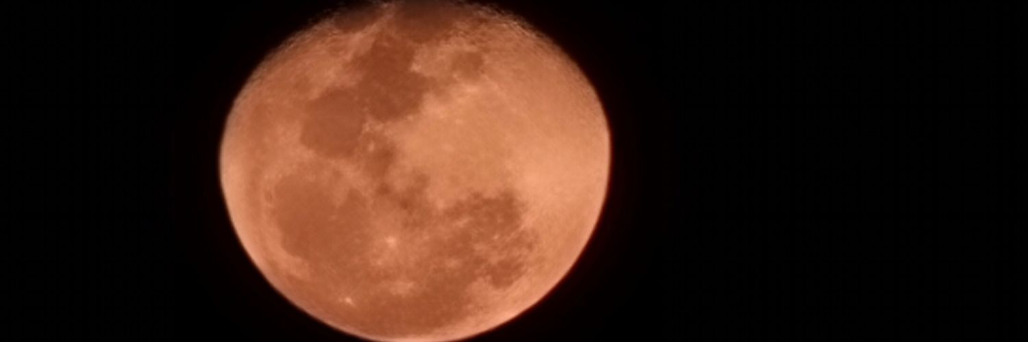 entulhar's profile banner image
