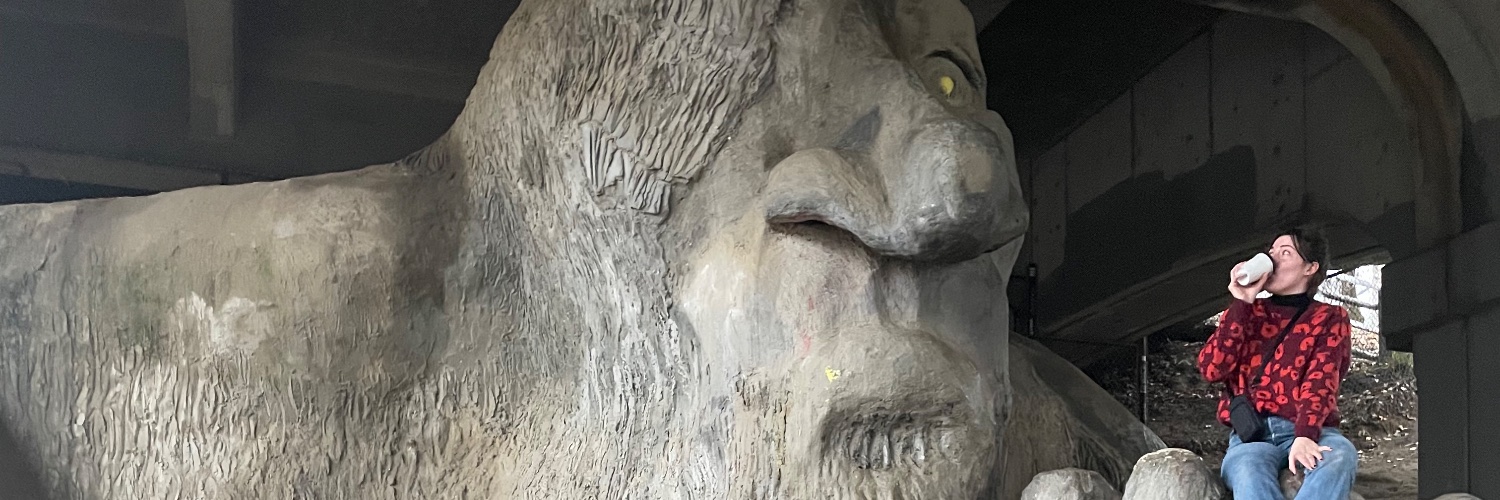 sierrawho's profile banner image
