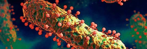 Daniel Cazares banner