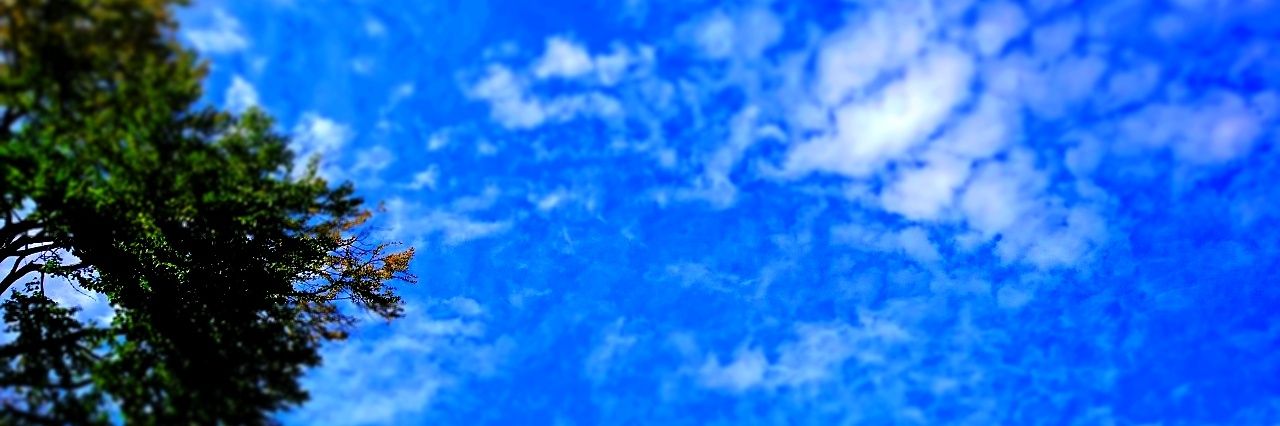 kairoiroiro3's profile banner image