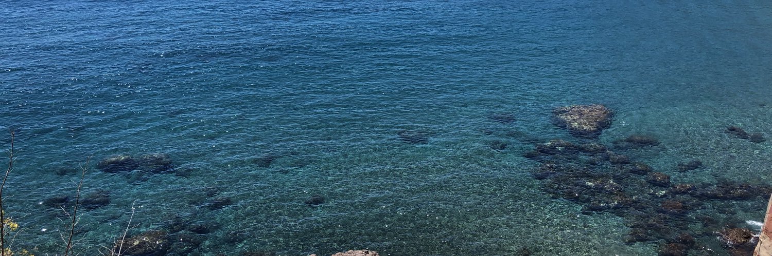 Pablo Alemán banner