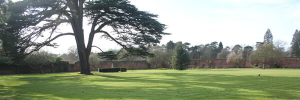 gordonchls Profile Banner