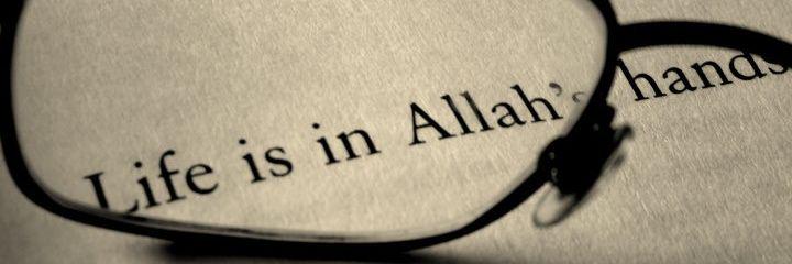 iqbalzull's profile banner image