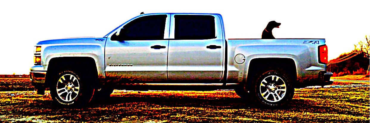 tgr_20's profile banner image