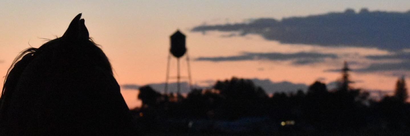sb_angus's profile banner image