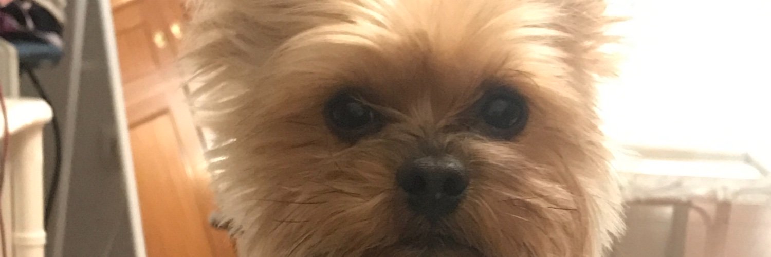 Mariitf90's profile banner image