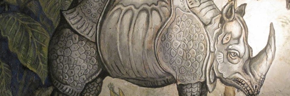 dperico's profile banner image