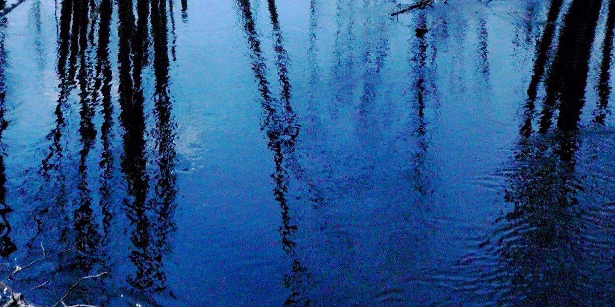 sheveryoff's profile banner image