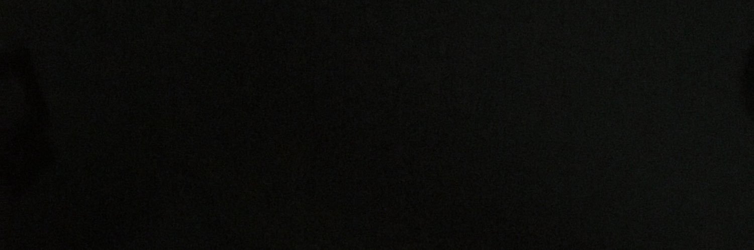 SepticSarahh's profile banner image