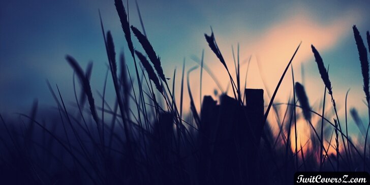 elshan_abd's profile banner image