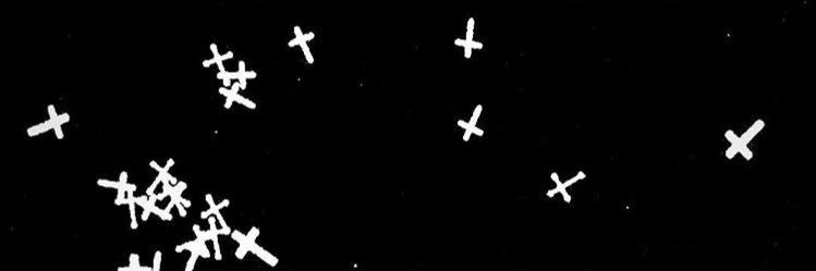 aidancuellar_'s profile banner image