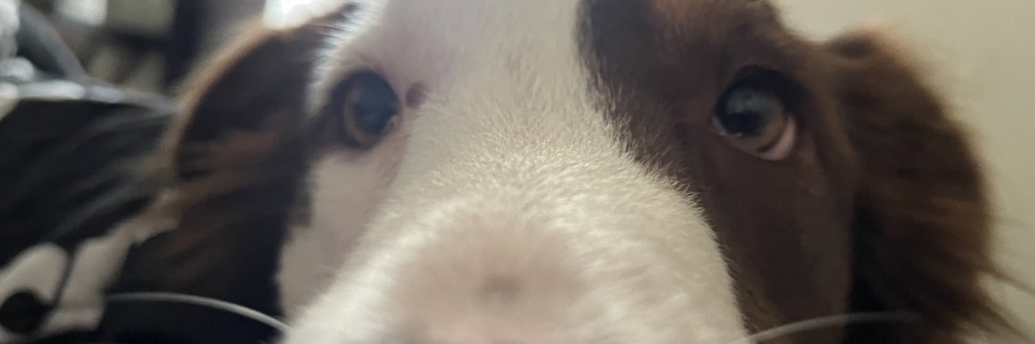anthonyyvx's profile banner image