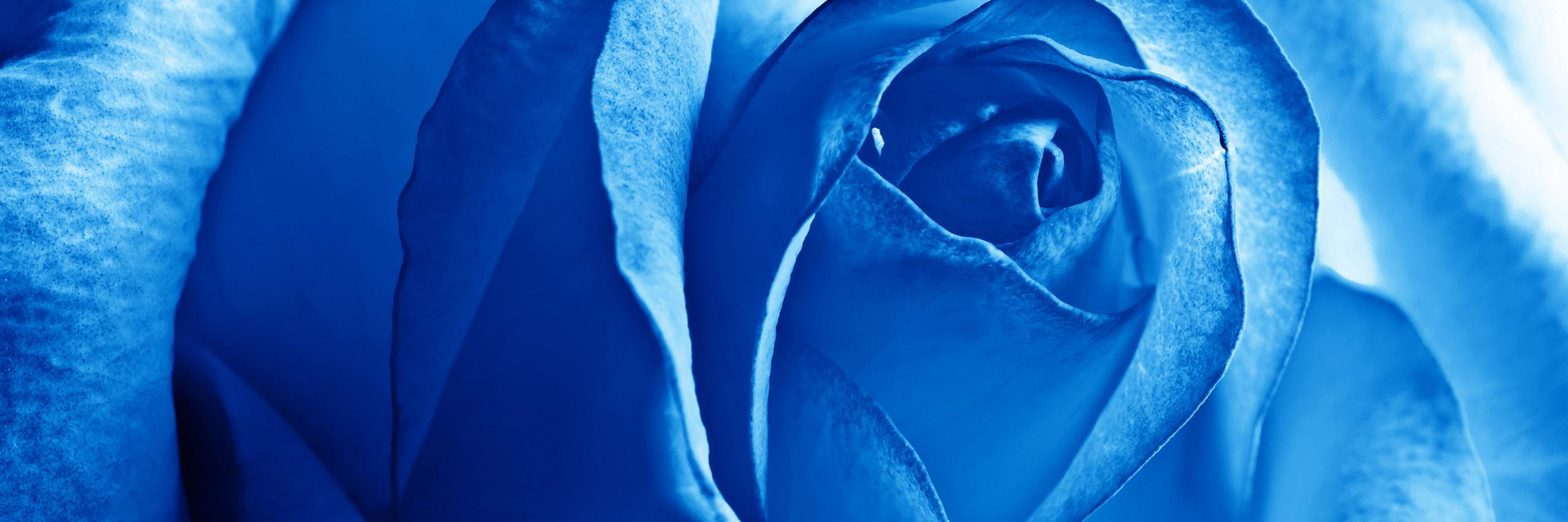 BlueShaffer's profile banner image