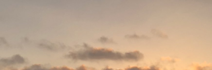 GRAClEROSE's profile banner image