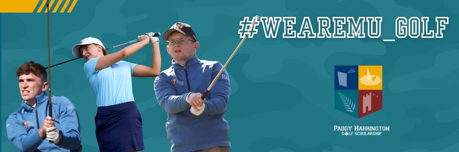 Paddy Harrington Scholars banner