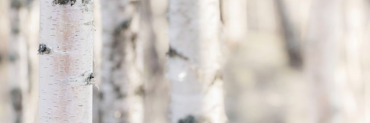 SFS Suomen Standardit banner