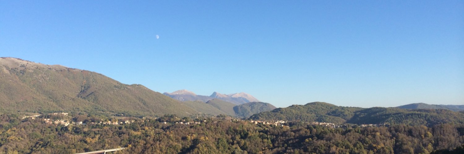 antonella salini banner