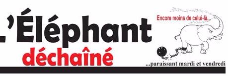 ElephantDechaine banner