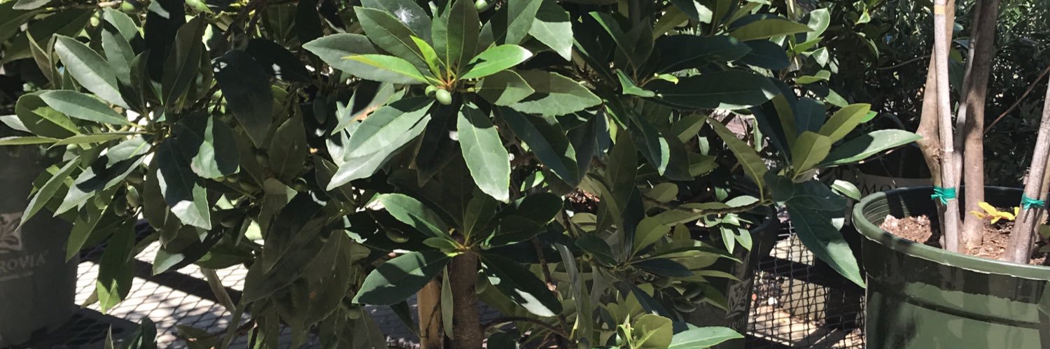 KorinCollins's profile banner image