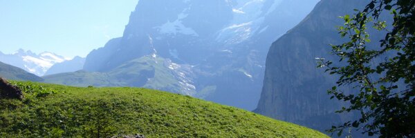 Murray_Je Profile Banner