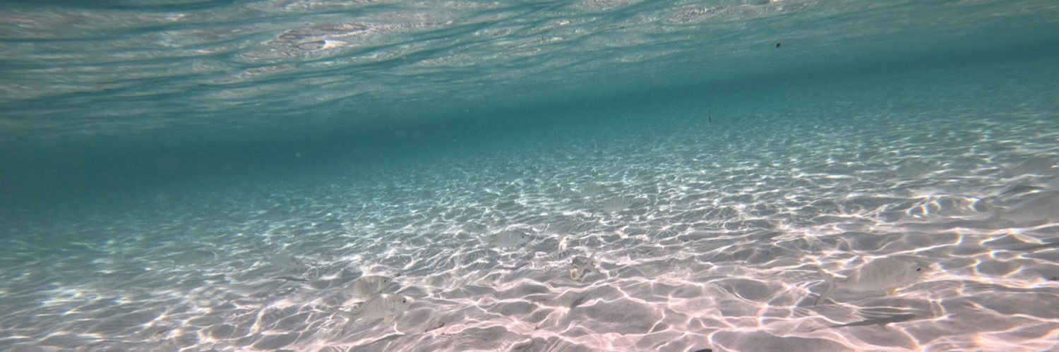 aintlifebeachy's profile banner image