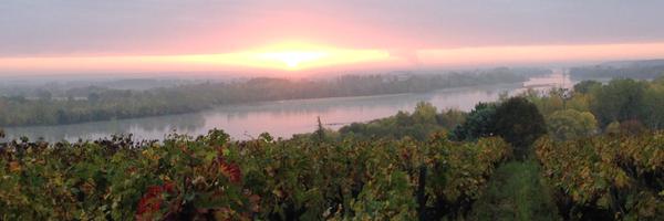 SylAugereau Profile Banner