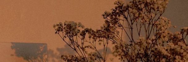 ManiLocJourney's profile banner image