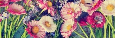 mavapla's profile banner image