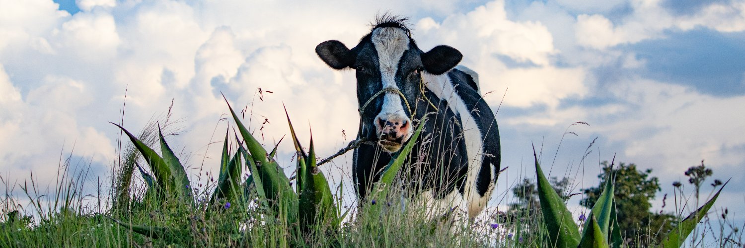 Carlos A.López Díaz banner
