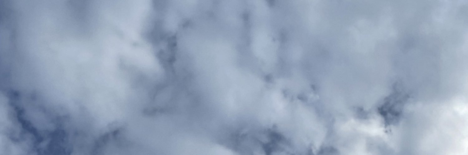 Päivi Vahvelainen banner