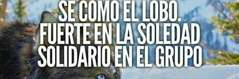 Braulio Blanco S banner