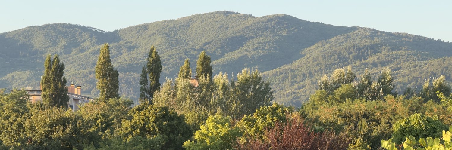 gennaro landolfi banner
