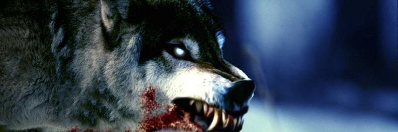 222Carlos22's profile banner image