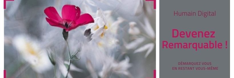 Humain Digital banner