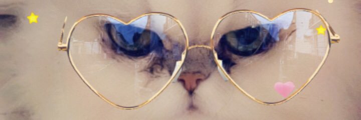 JoLefvre's profile banner image
