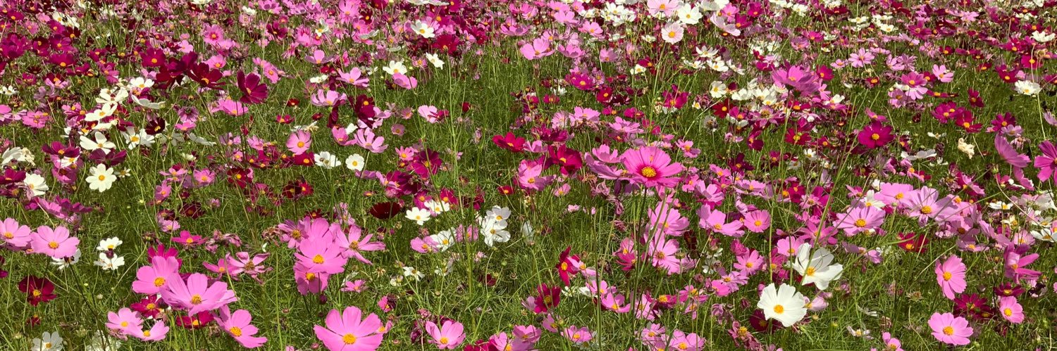 É.TEMEN.NÍ.GÙRU banner