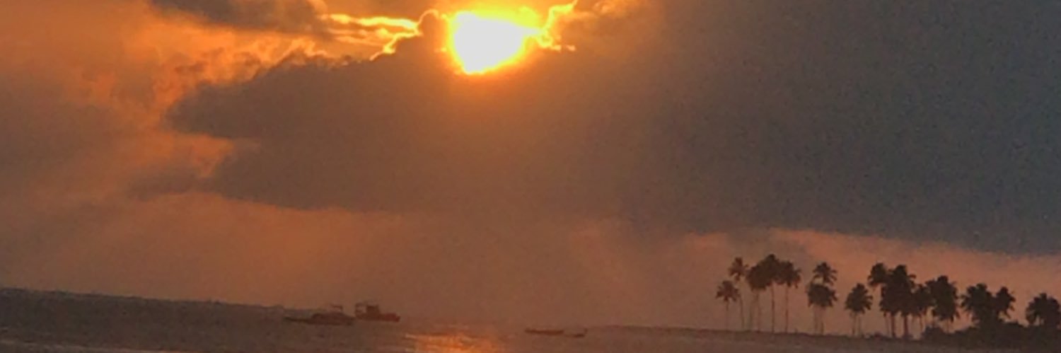 Mateus banner