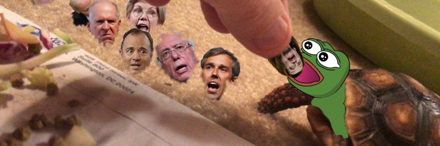 🐢Peter Wiggin🐢 (the real one) 🦑wigone🐝 banner