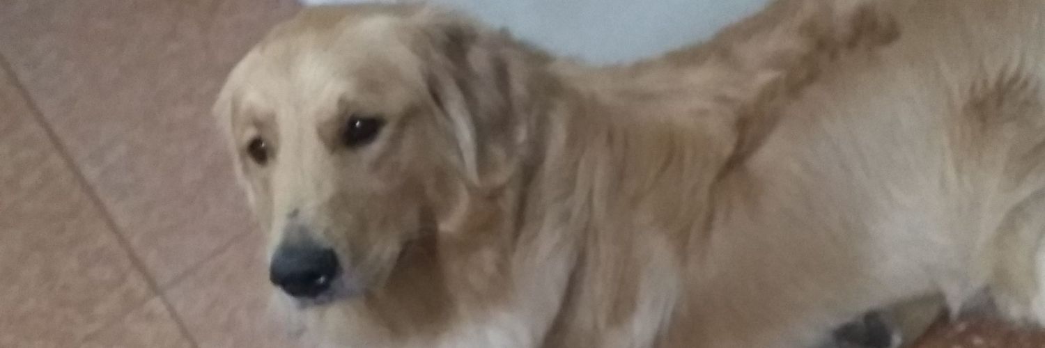 FeedeeHerediaa's profile banner image