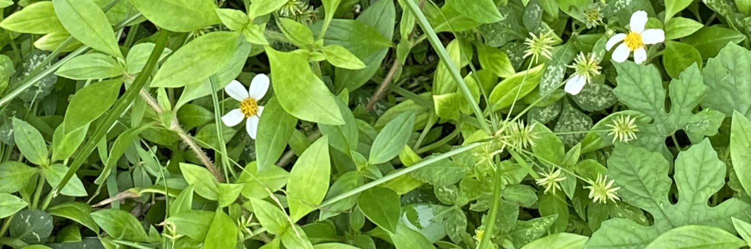 Judithlynnc's profile banner image