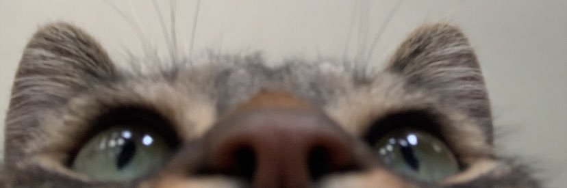 itsbrittyz's profile banner image