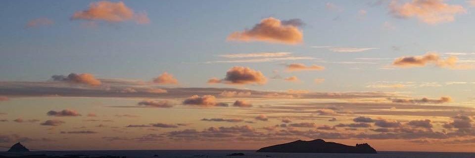 Siobhán Weekes banner