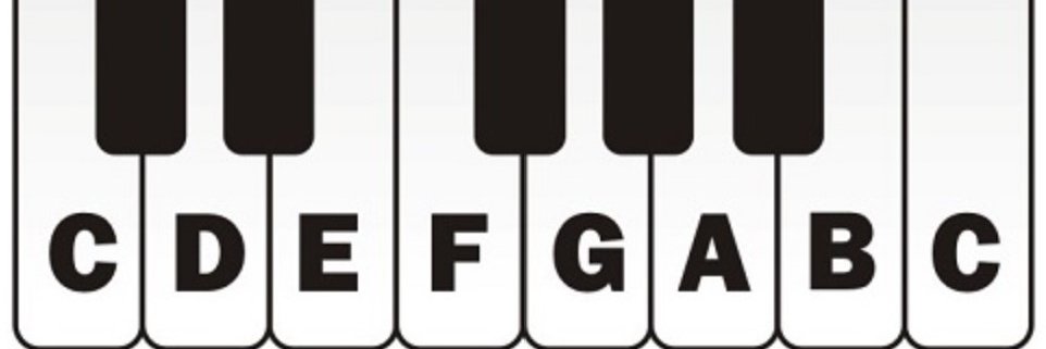 CeeScale's profile banner image
