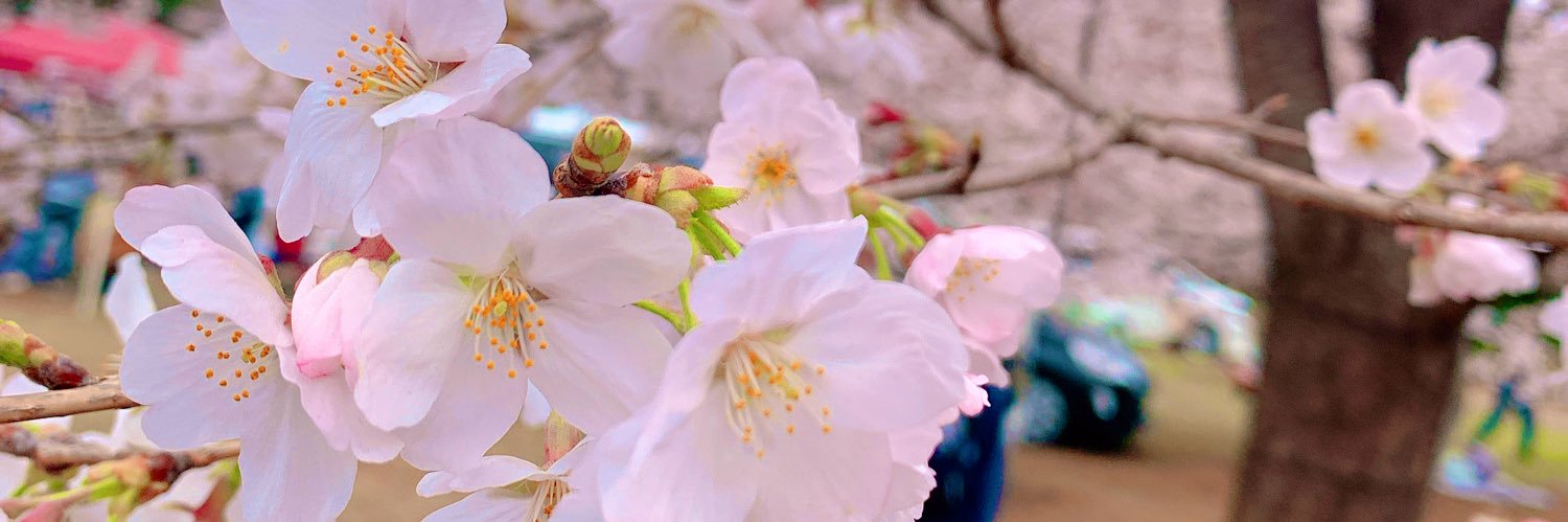 Ayakaction's profile banner image