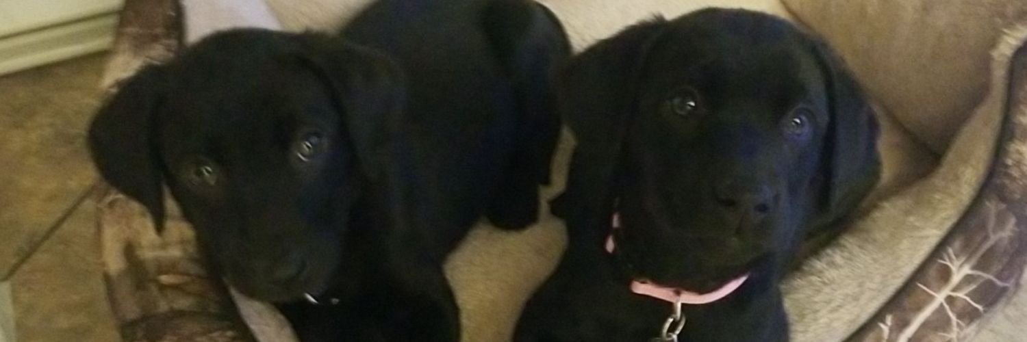 KimPorras13's profile banner image
