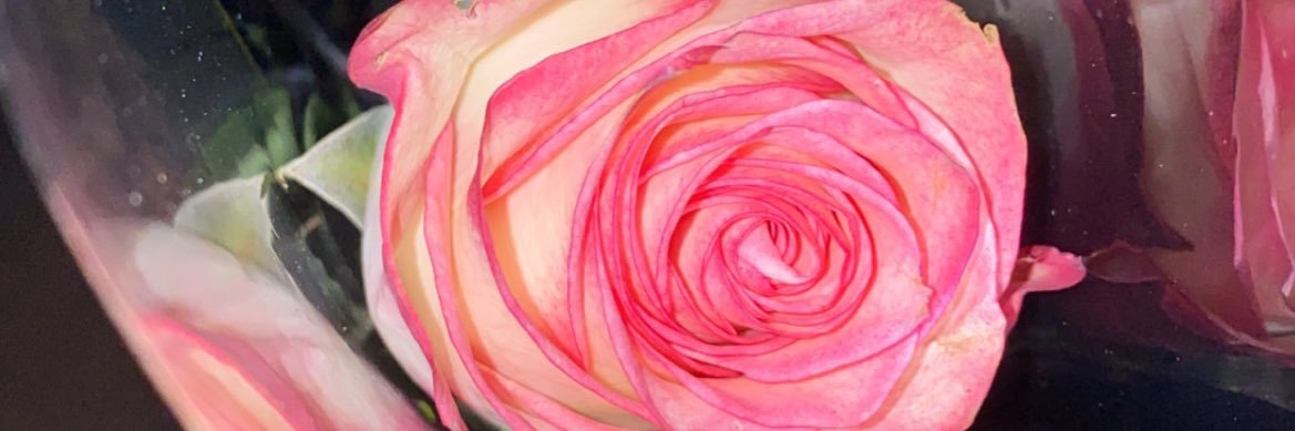 MorenikeA_'s profile banner image